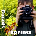 Spring Photo Sprints