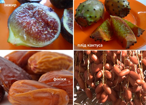 туніські фрукти