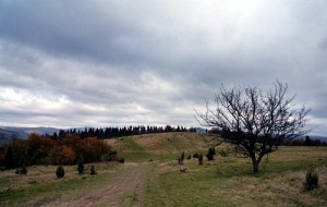 вийшли з села вийшли з села