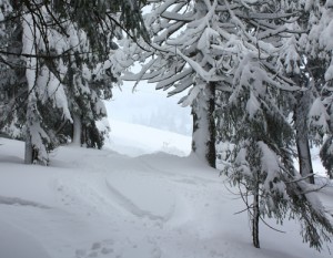 snow